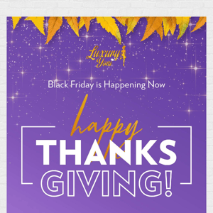 A Happy Thanksgiving from founder + CEO!
