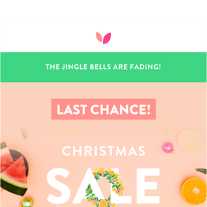 Fa La La! 🧑‍🎄 FINAL HOURS to save during Christmas in July!
