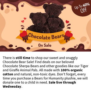 Shop Our Chocolate Bear Sale Today!