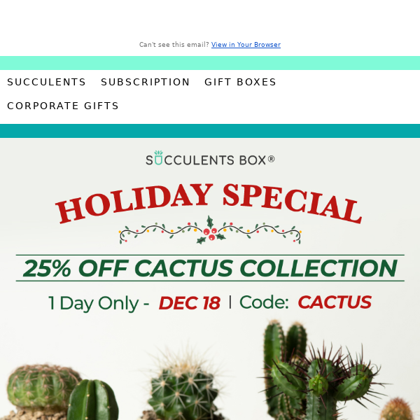 Score a Deal: 25% off All Cacti Today!