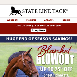 Super Savings On Blankets & More + 30% Off Your Order!