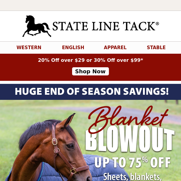 Super Savings On Blankets & More + 30% Off Your Order!