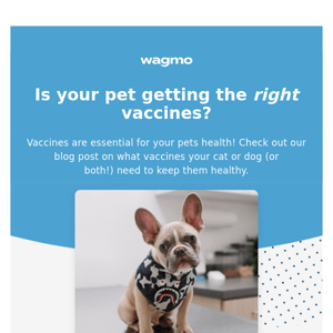 Get your pet's next vaccine for free