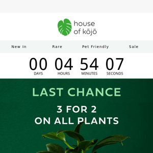 ⏰ Last Chance: 3 for 2 on all plants 🌱