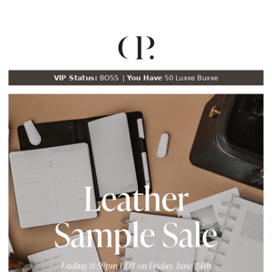 1 Day. Leather Sample Sale. Can it be?
