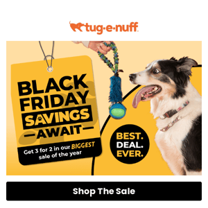 The Big Black Friday Sale Is Here 🛍️