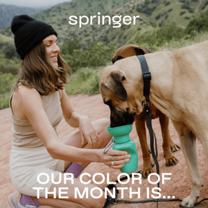 Our Color of the Month Is...