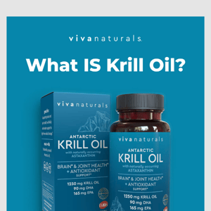 What can Krill Oil do for you?