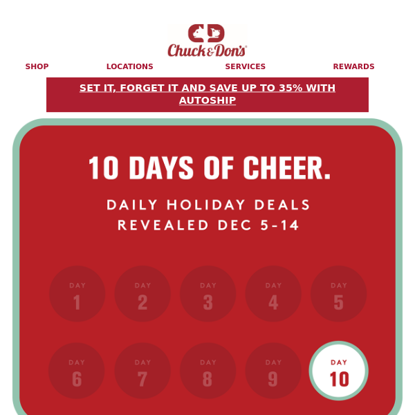 Day 10 of 10 Days of Cheer: Gift