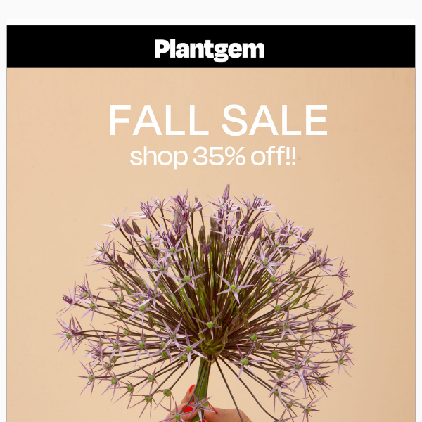 Fall Sale!! not too late to plant 🌷