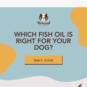 Which Fish Oil is Right for Your Dog?