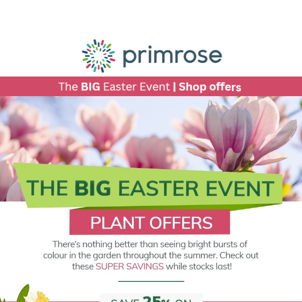 Huge Savings on Plants 🌸