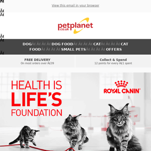 Get Up To 14% Off Tailored Nutrition For Your Kitten From Royal Canin