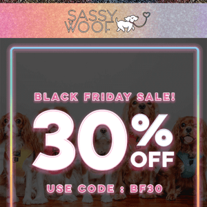 30% OFF BLACK FRIDAY SALE! ✨