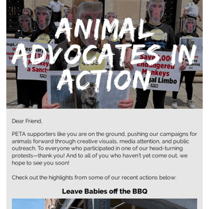 BBQ Babies, Coconut Dumps, and Heavy Chains—What Is PETA Up To?