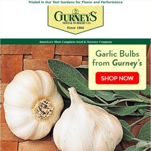 Have you ordered your garlic?