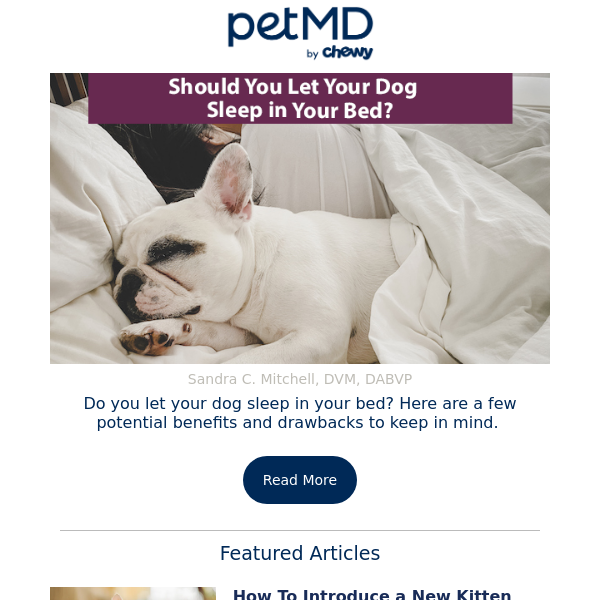 Should You Let Your Dog Sleep in Your Bed?