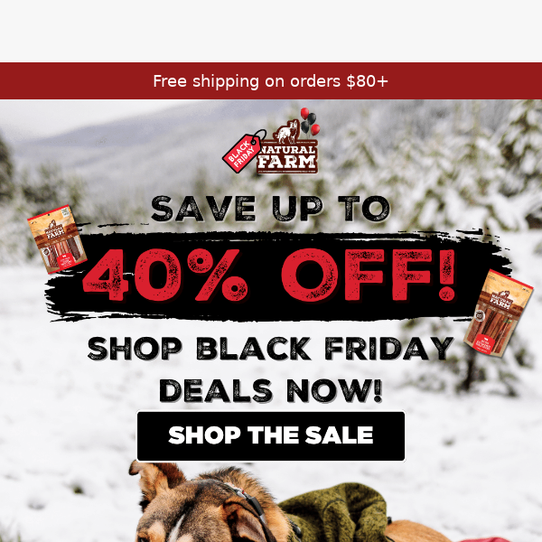 BLACK FRIDAY SALE: Up to 40% off