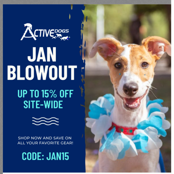 Jan Blowout~15% Off Site Wide