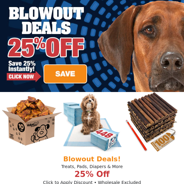 Blowouts! > Save 25% Today