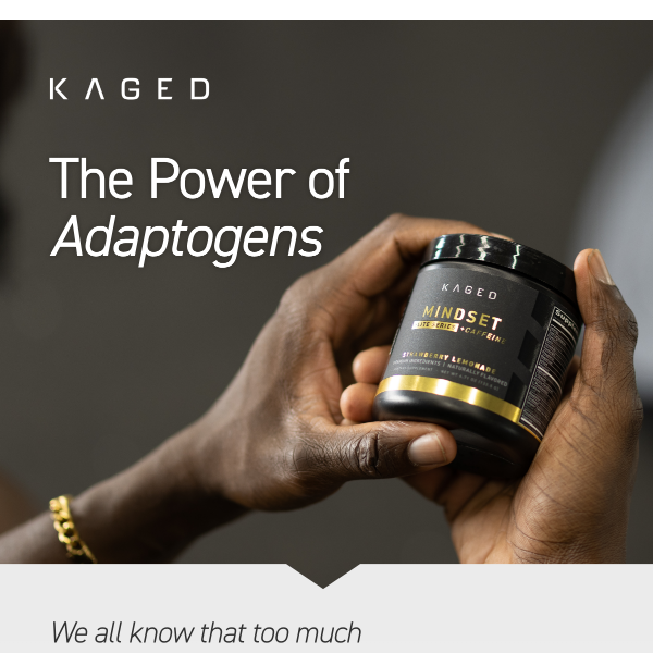 What are adaptogens?