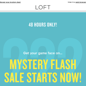 Mystery Flash Sale STARTS NOW