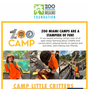 Sign your cubs up for a summer adventure