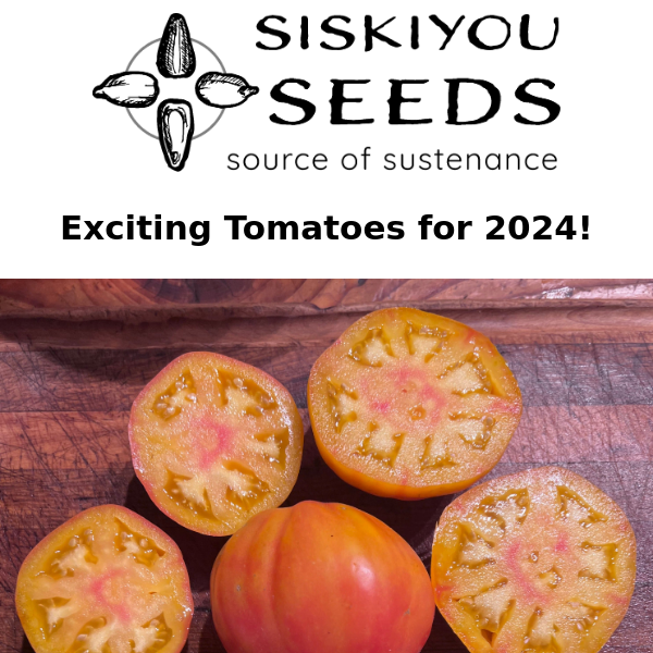 Tomato, Siskiyou Slicer