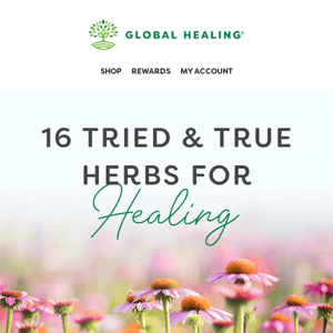 The Ultimate Guide on Healing Herbs