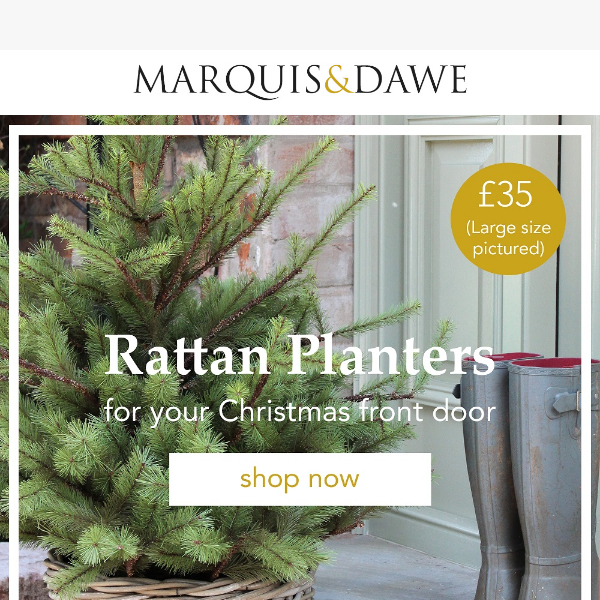 Basket Planters For Your Christmas Trees