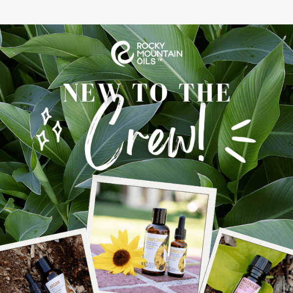 Get Excited About These New Oils!