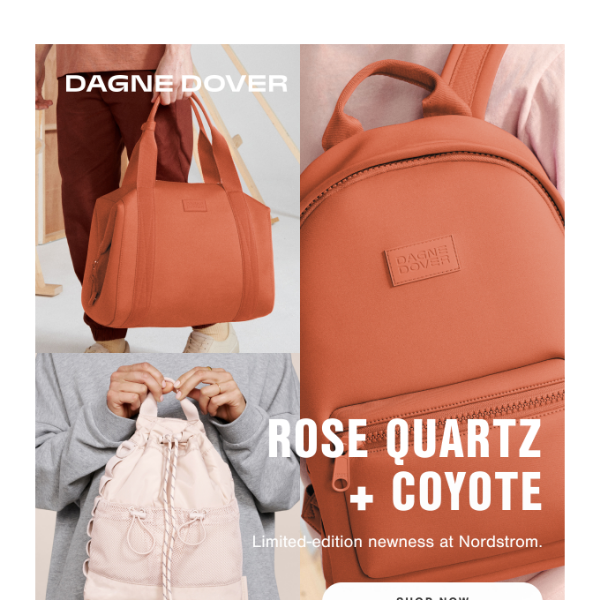 A Rare Dagne Dover Bag Is in Nordstrom Anniversary Sale 2022