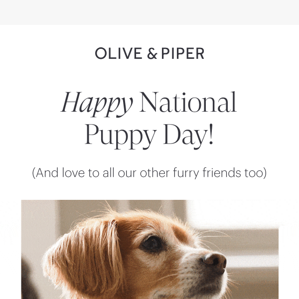 A gift for your furry friend today...