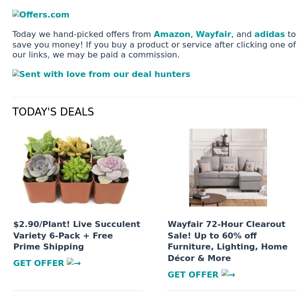 Wayfair Clearout Sale | Greenhouses Under $50 | $12 Washing Machine Cleaner 24-Pack