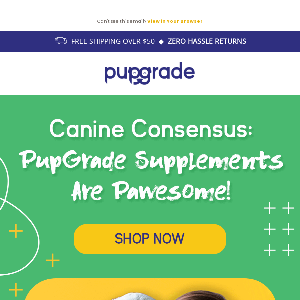 🐾 9 out of 10 Dogs Agree - PupGrade is a Hit!