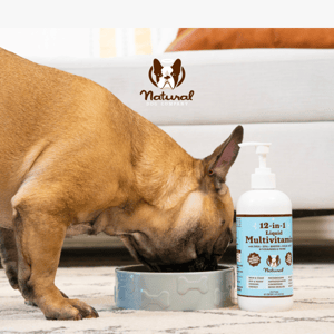12-in-1 Veterinarian Formulated Daily Support
