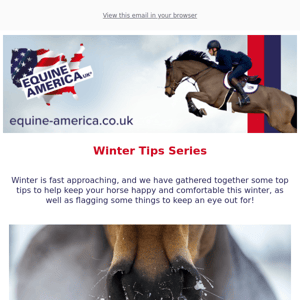 Winter Tips