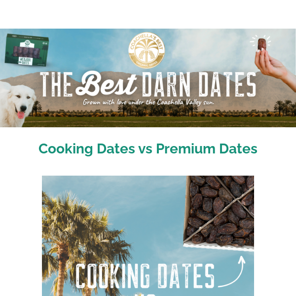 Let's Get Cooking: Cooking Dates vs Premium Dates🍴