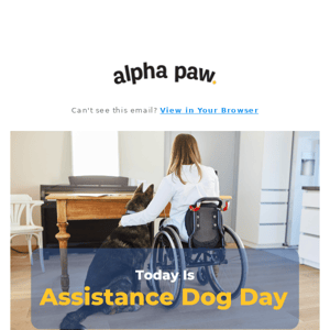 Happy Assistance Dog Day