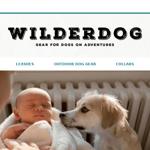 New Weekly Woof - 👶🐶 How to Prepare Your Dog When You're Expecting