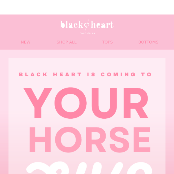 Your Horse Live 🖤