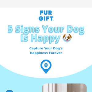 5 Signs Your Dog is Happy