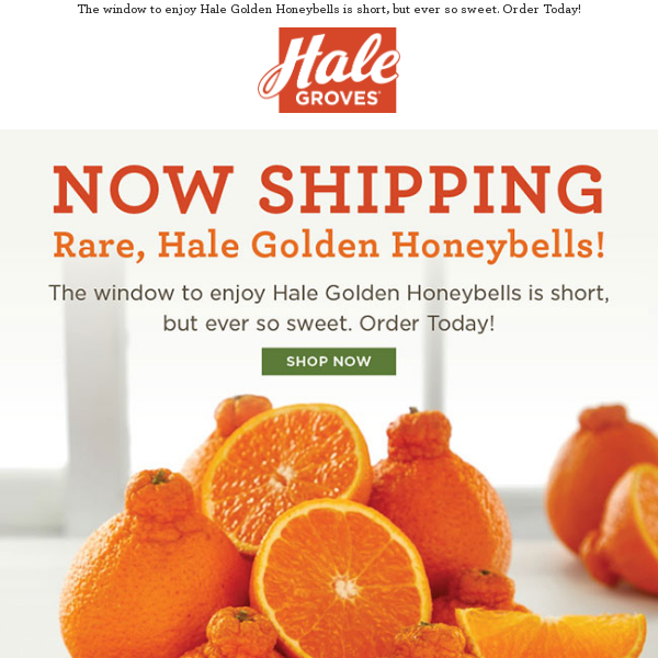 🍊 NOW Shipping Rare, Hale Golden Honeybells! 🍊
