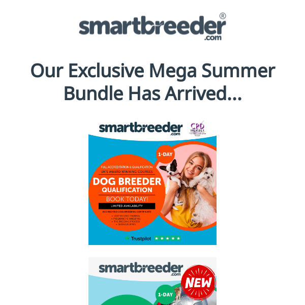 The Mega Summer Bundle Has Dropped!