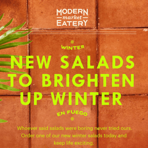 New Salads Coming In Hot!