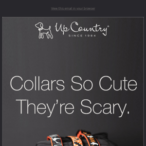 Collars So Cute They're Scary! 👻