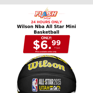 🔥24 HOURS ONLY | NBA ALL STAR MINI BALL | FLASH SALE