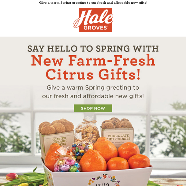 🍊 Say Hello to Spring with New Farm-Fresh Citrus Gifts! 🐝