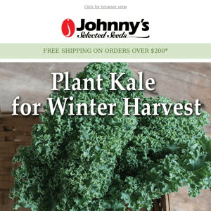 Grow Kale: A Great Crop for Cold Months