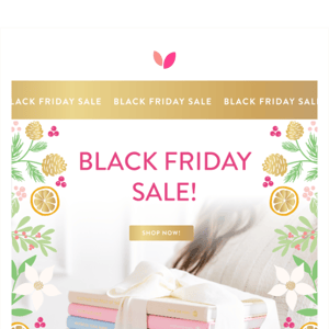 Hooray—it's Black Friday! Our biggest sale of the year is FINALLY here!